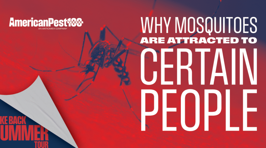 What Attracts Mosquitoes? Discover 5 Key Factors | American Pest