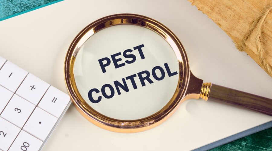 Pest Control vs Exterminator: What’s The Difference?