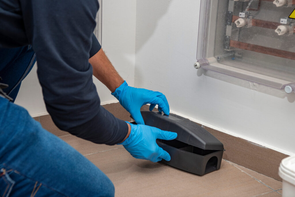 A person wearing blue gloves is placing a black pest control trap on the floor in a corner near a clear panel. The person is dressed in a dark long-sleeve shirt and jeans.