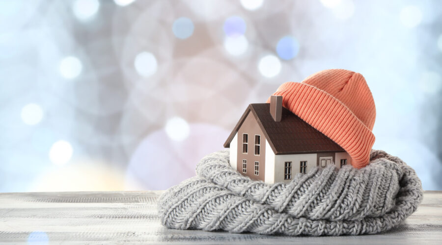 Do I Need Pest Control in Winter