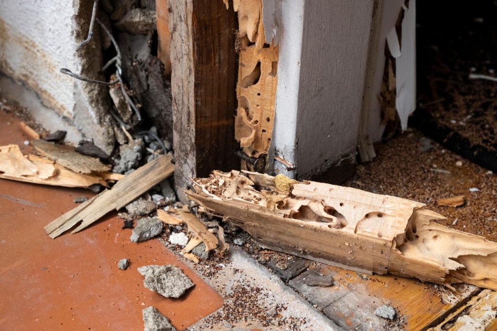 Termite Damage to a home