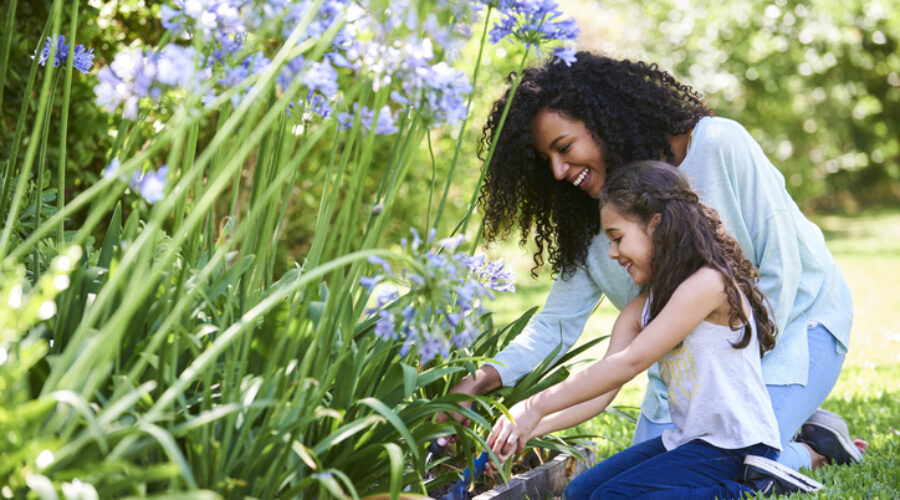 3 Tips for Eco-Friendly Pest Control Practices this Earth Month