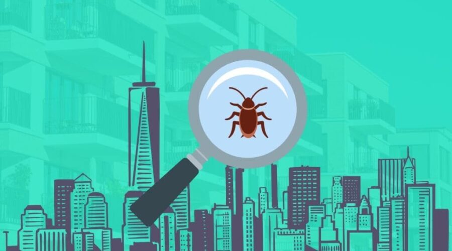 6 Pests That Thrive in High-Rise Buildings