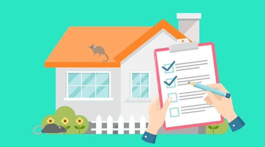 Avoid Rat Violations: Know What NYC DOHMH Rat Inspectors Look For