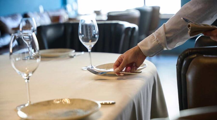 Common Types of Ants Found in Toronto Restaurants