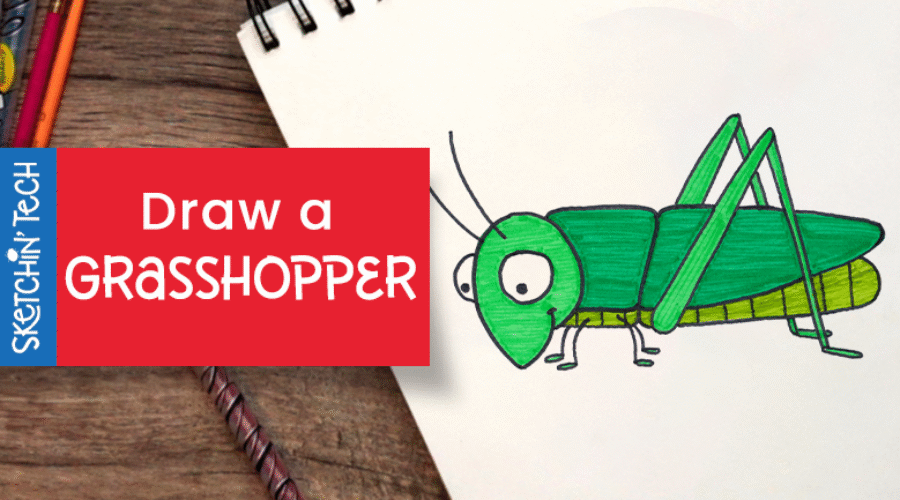 DRAW A GRASSHOPPER WITH THE SKETCHIN’ TECH