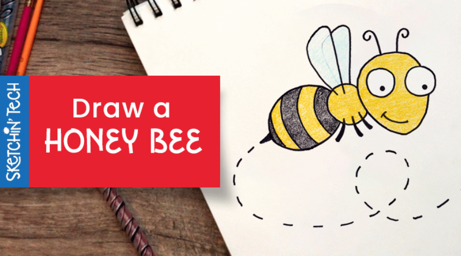 DRAW A HONEY BEE WITH THE SKETCHIN’ TECH