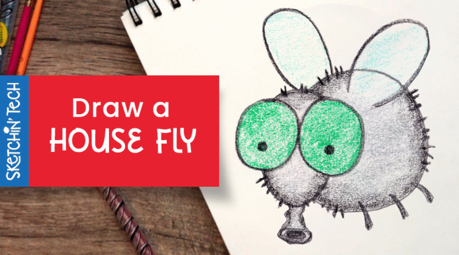 DRAW A HOUSE FLY WITH THE SKETCHIN’ TECH