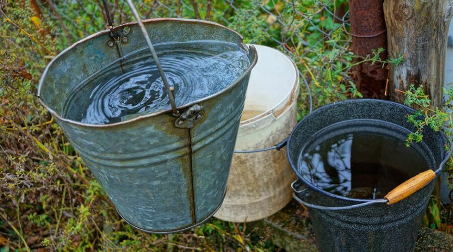 Getting Mosquitoes to Kick the Bucket