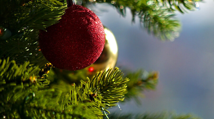Have a Pest Free Holiday Season