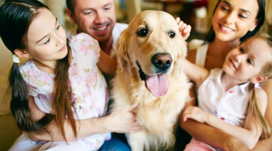 How to Get Rid of Fleas