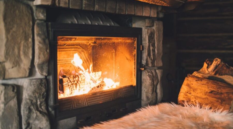 Keeping Pests Out of Your Chimney and Fireplace This Season