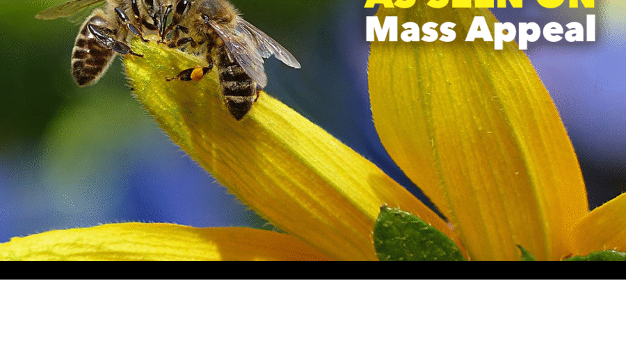 Not Everything that Buzzes Should Be Banished
