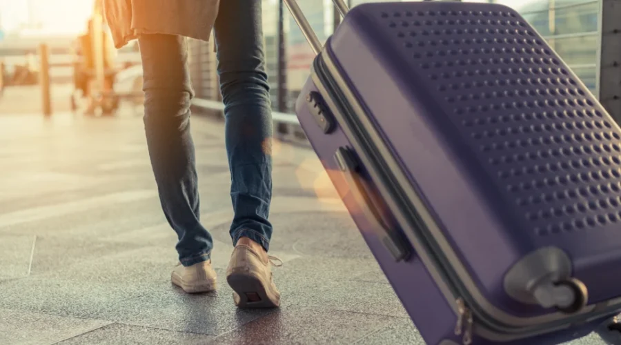 Protect Your Luggage from Bed Bugs