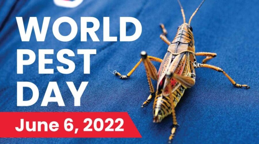 World Pest Day